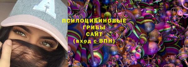 spice Вязьма